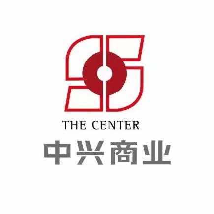 中兴-沈阳商业大厦