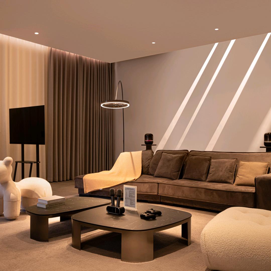 阜阳全屋智能（安徽陆色光电）