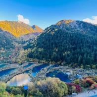 广州辰荀商贸有限公司微微直播号