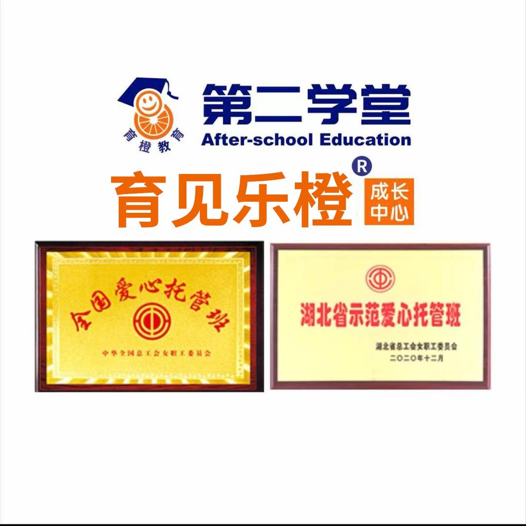 育橙教育·育见乐橙