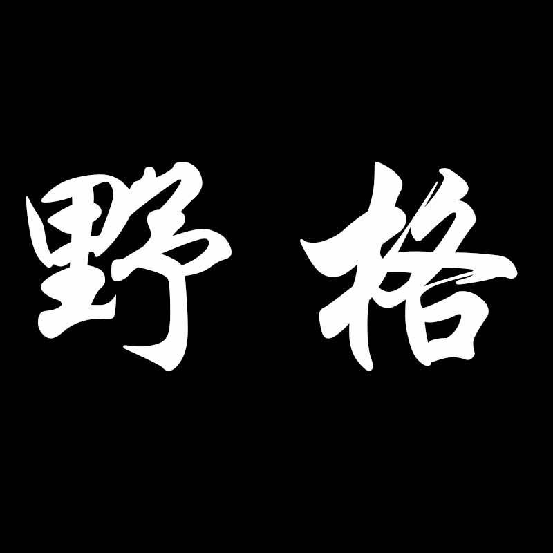 野格男士形象设计