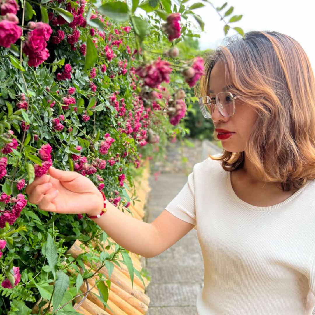 曾菜菜的玩具铺