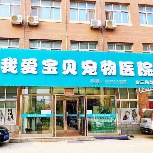 大连我爱宝贝宠物医院（金三角店）