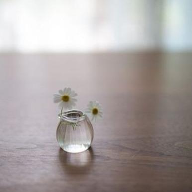 凌恒赋能直播四号