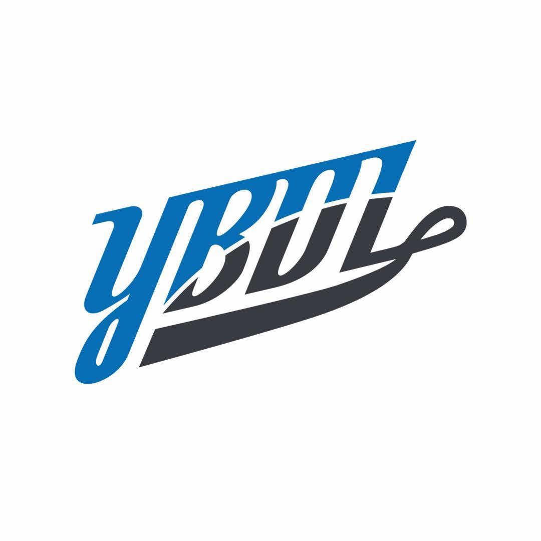 YBDL青少年篮球发展联盟