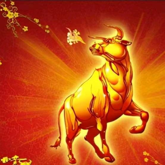 广州陆顺商贸有限公司直播号