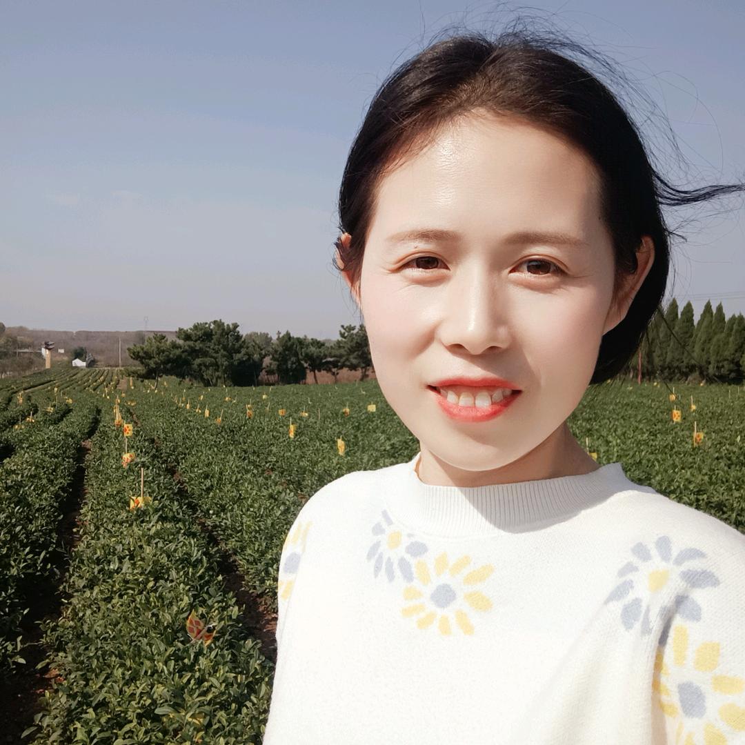 清心茶园茶叶店官方号