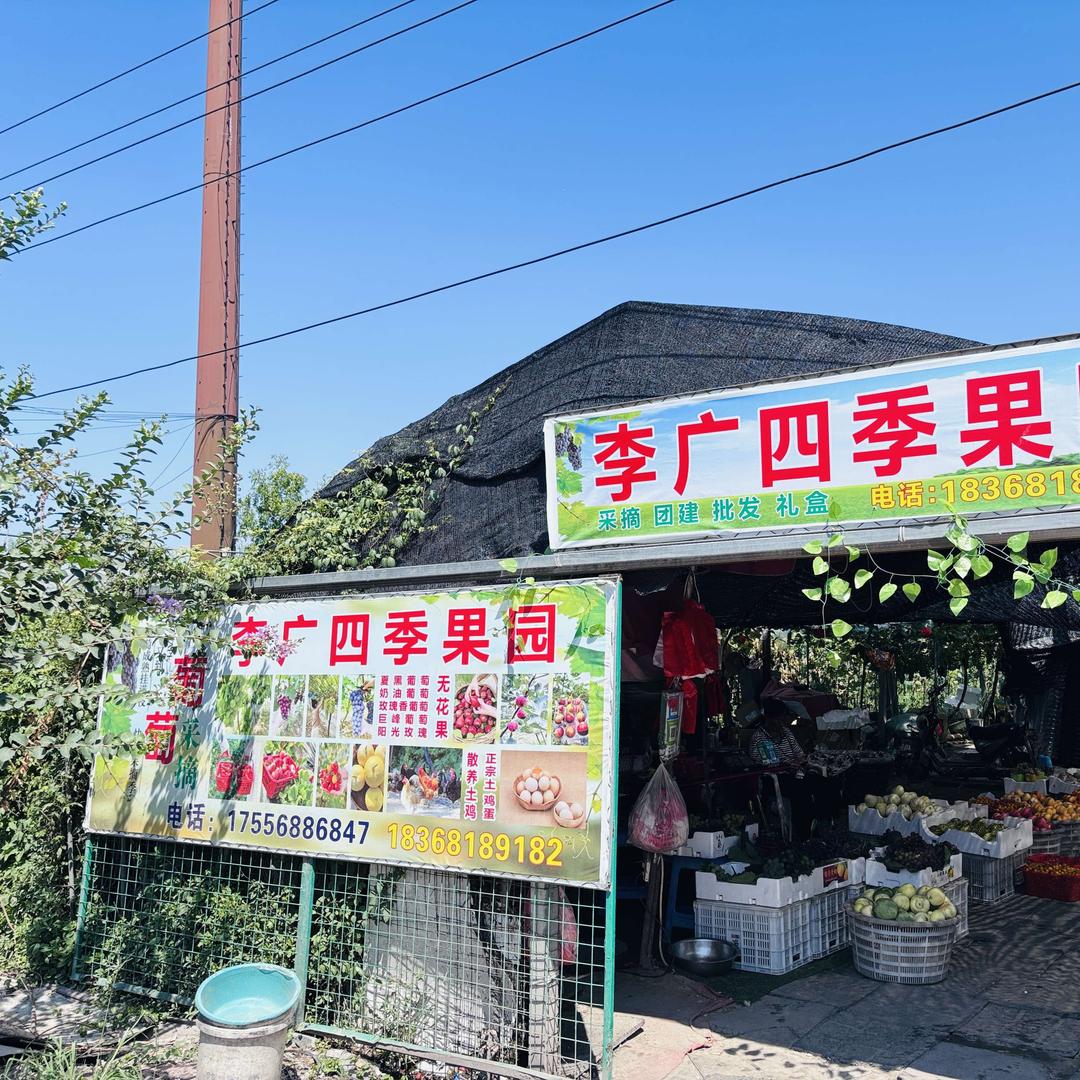 李广四季果园