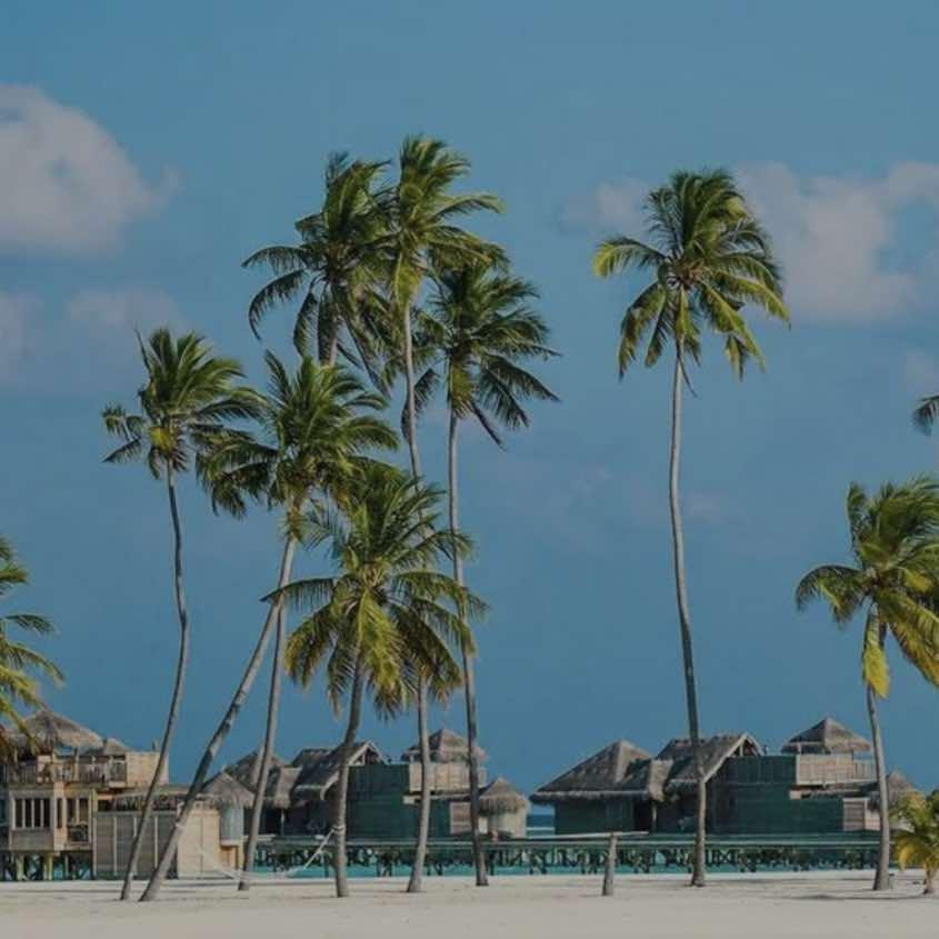 大棚烧烤（恒星北门对过）