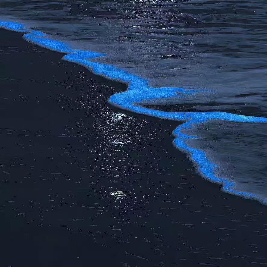 楠焕颜直播88号