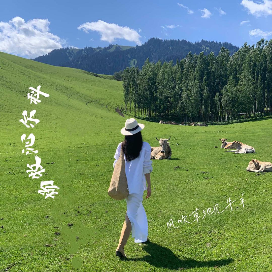 楠木优品～