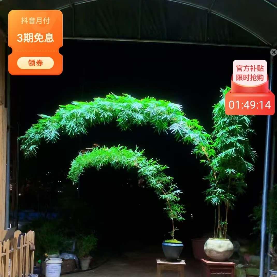 汤品足道