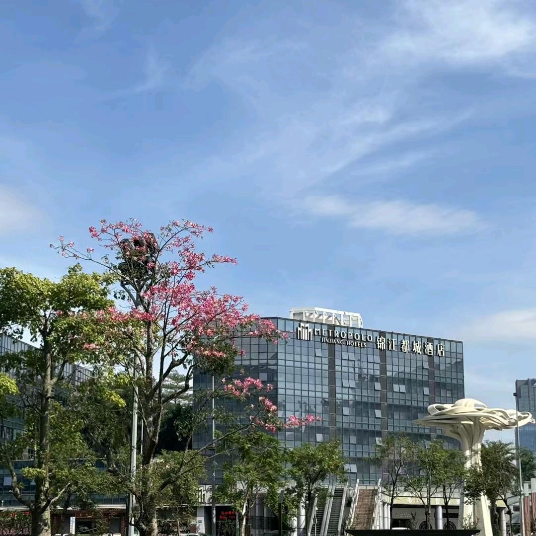 广州白云新城万达广场锦江都城酒店