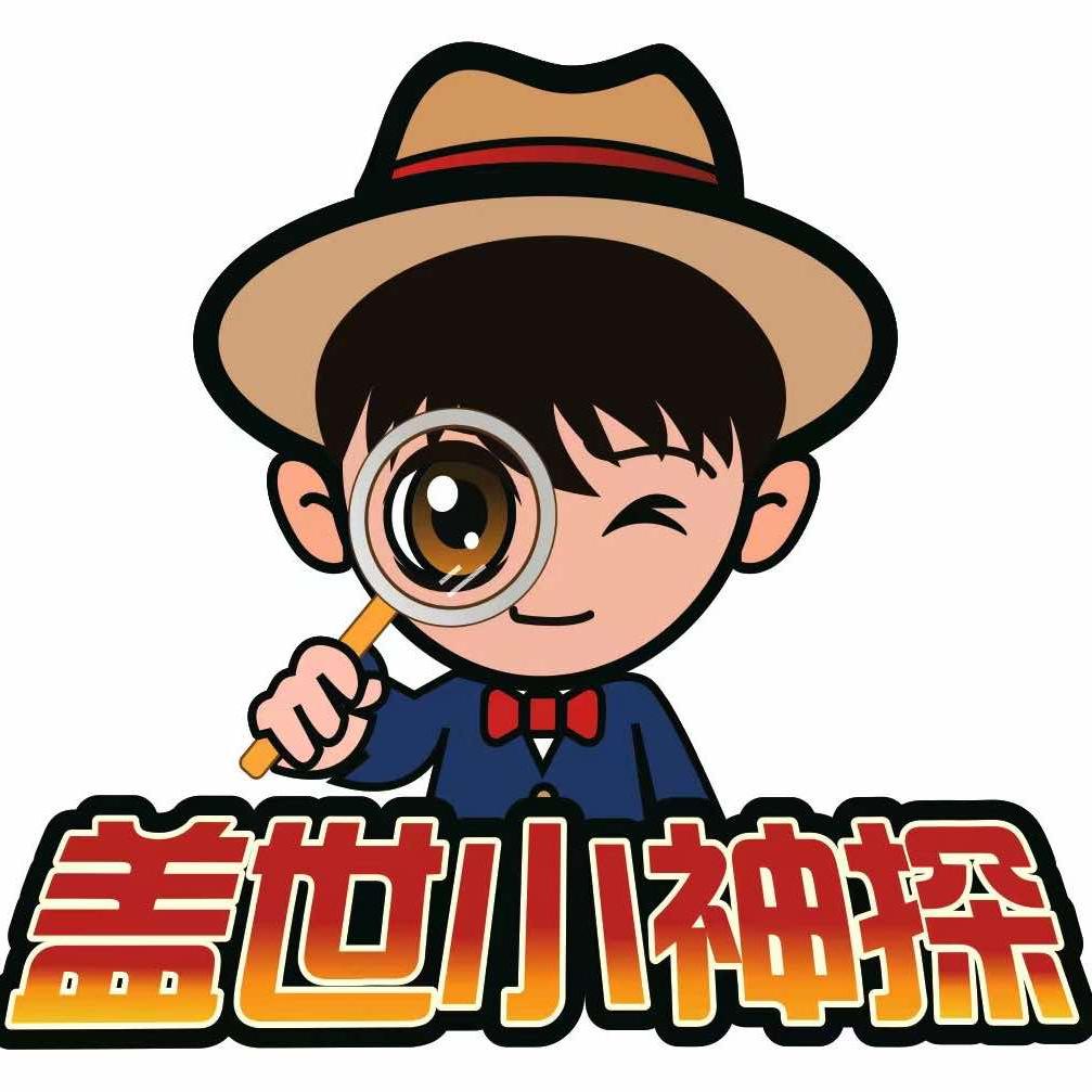 盖世小神探