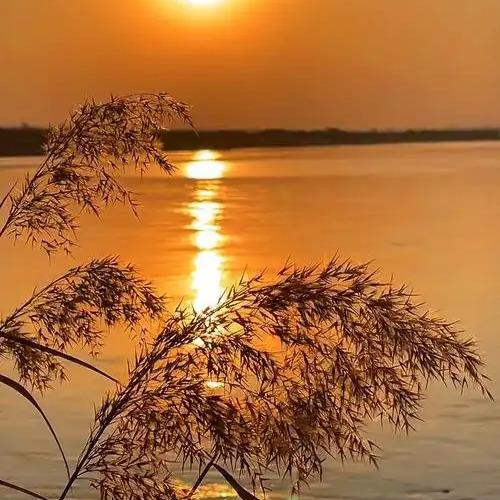 优加精选超市萝岗和苑店2直播号