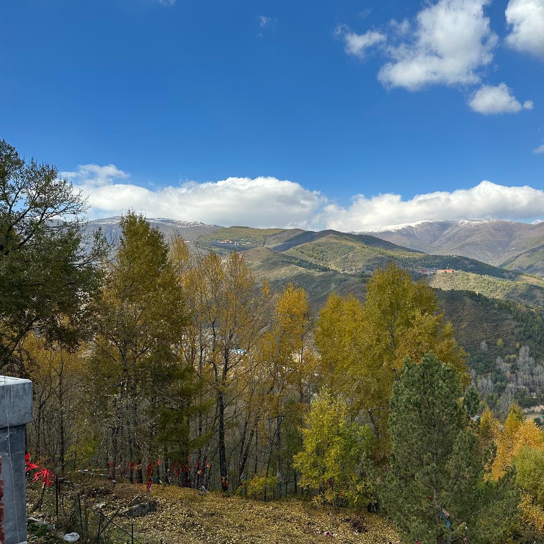 广州祥倍时酒店管理有限公司深直播号