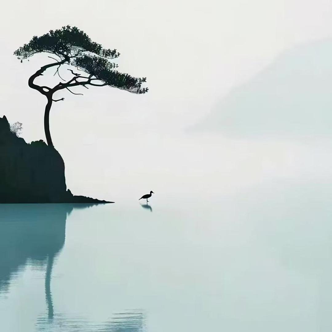 Tuiip直播号