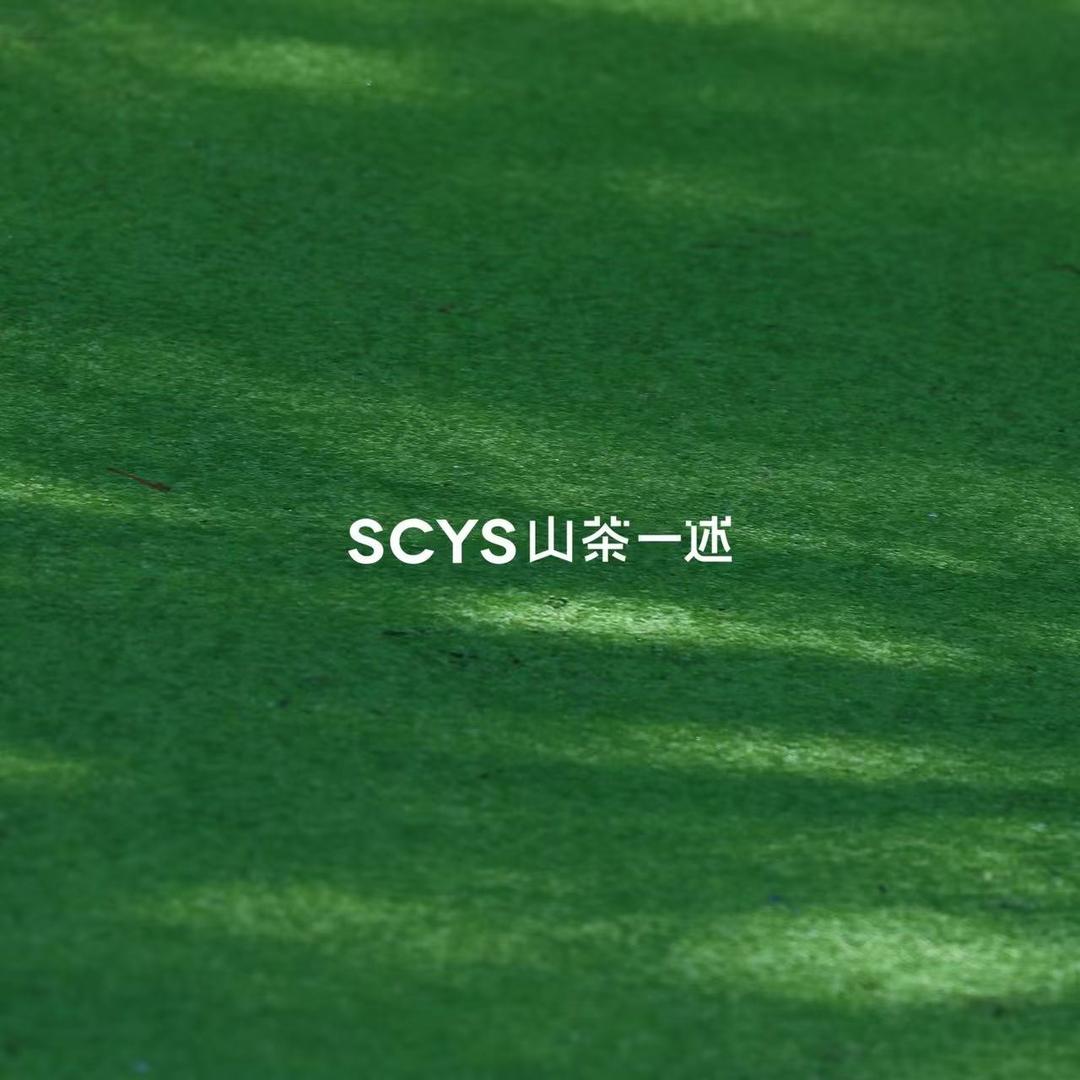 山茶一述摄影工作室