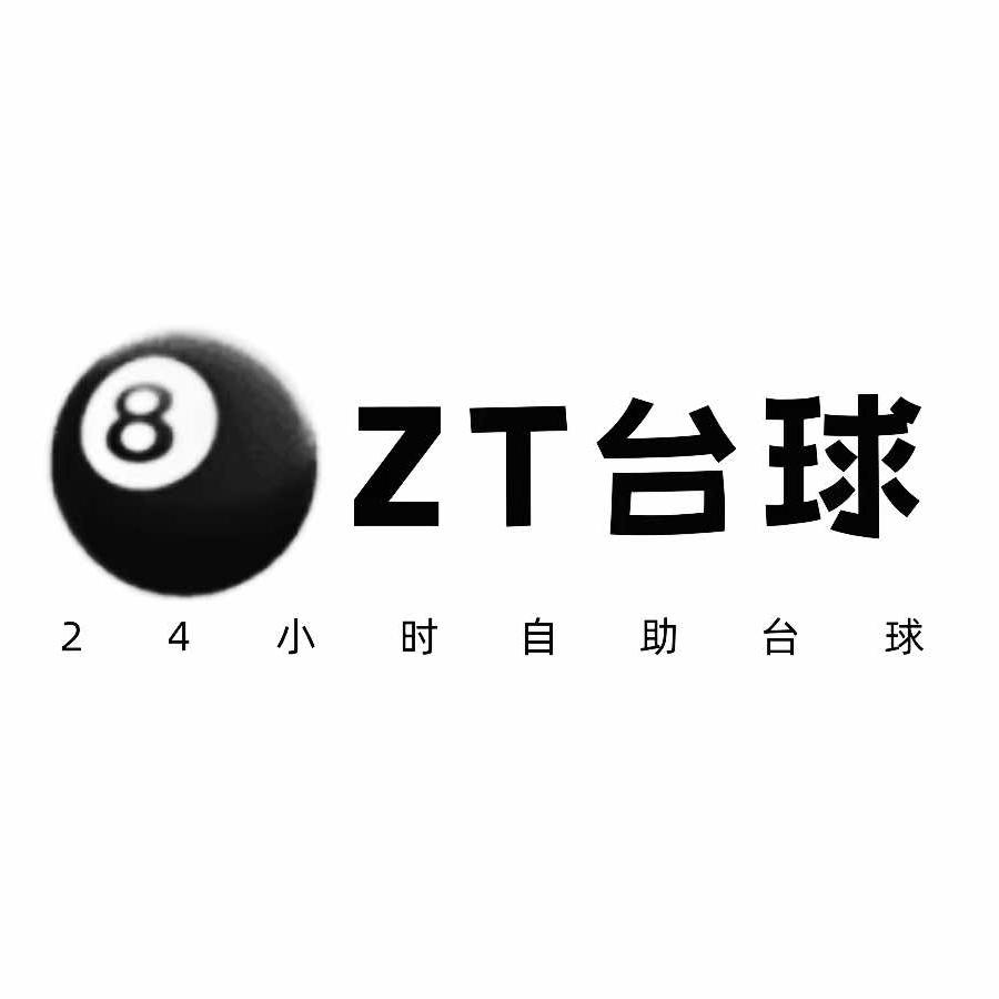 武康ZT台球