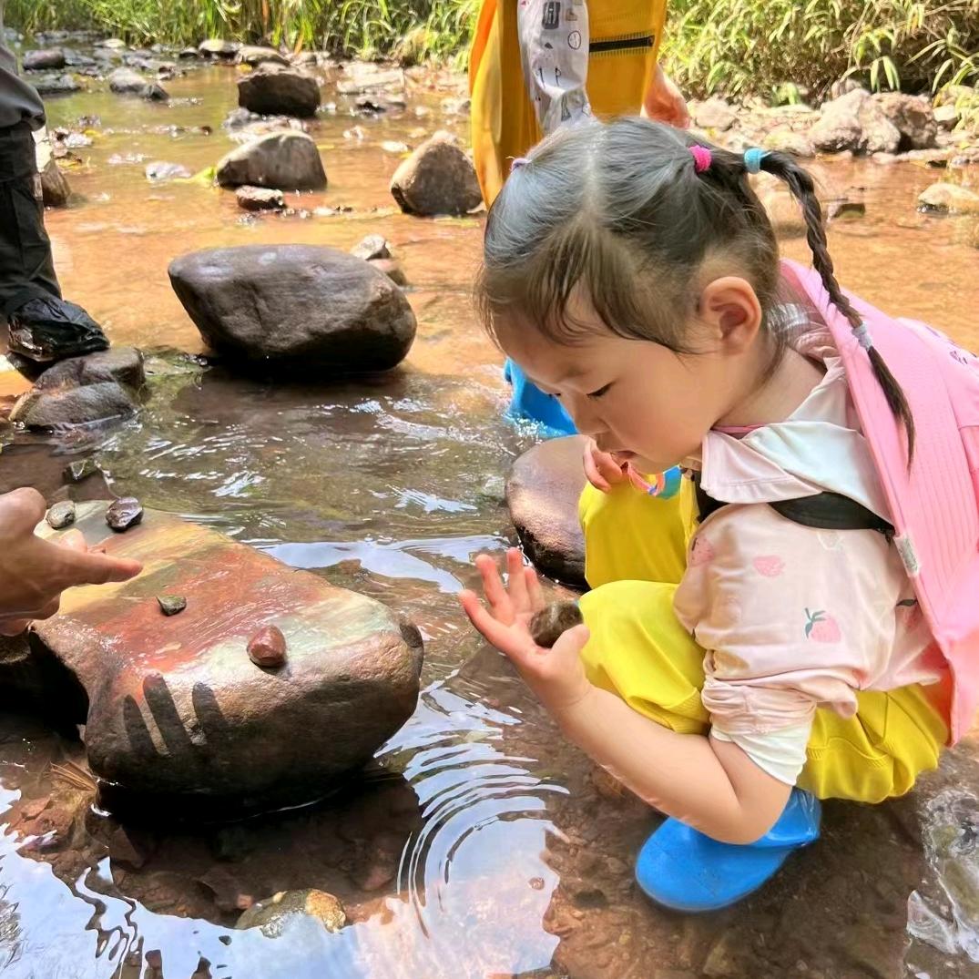 基诺山巴朵雨林徒步景区