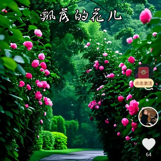 徐州-特别小曹-民宿宠粉号