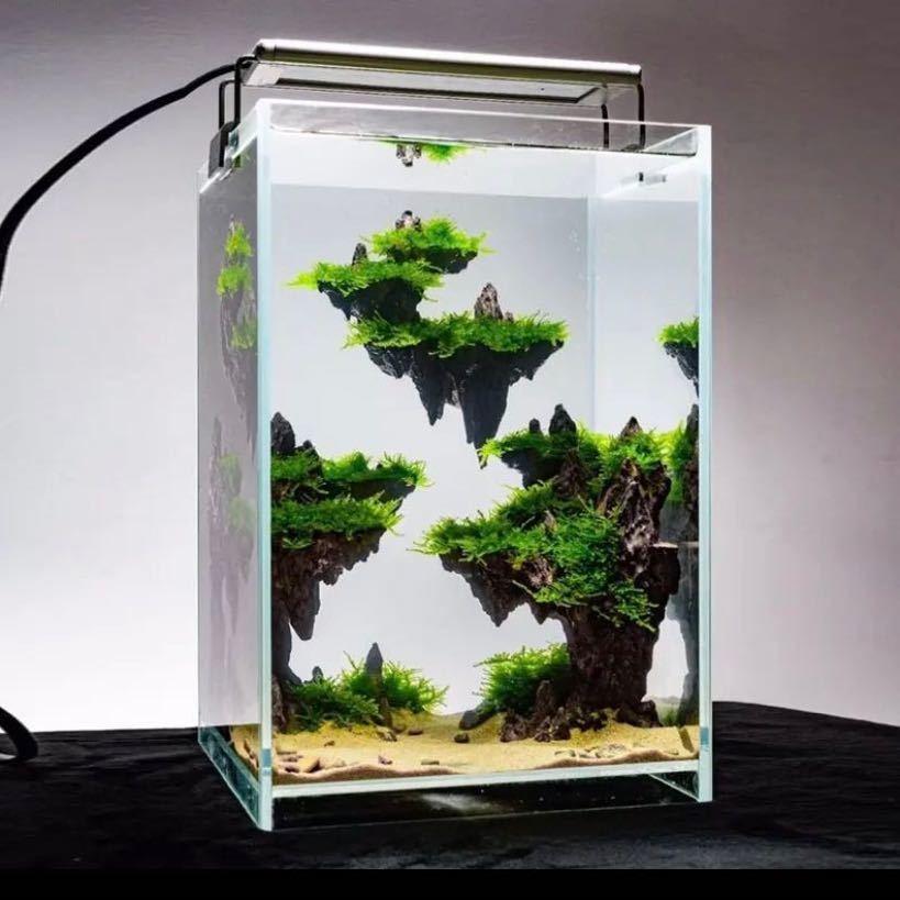 水木青水族工作室
