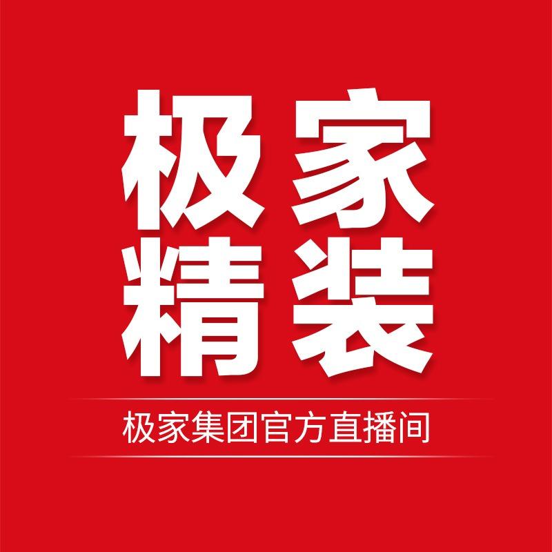 极家精装