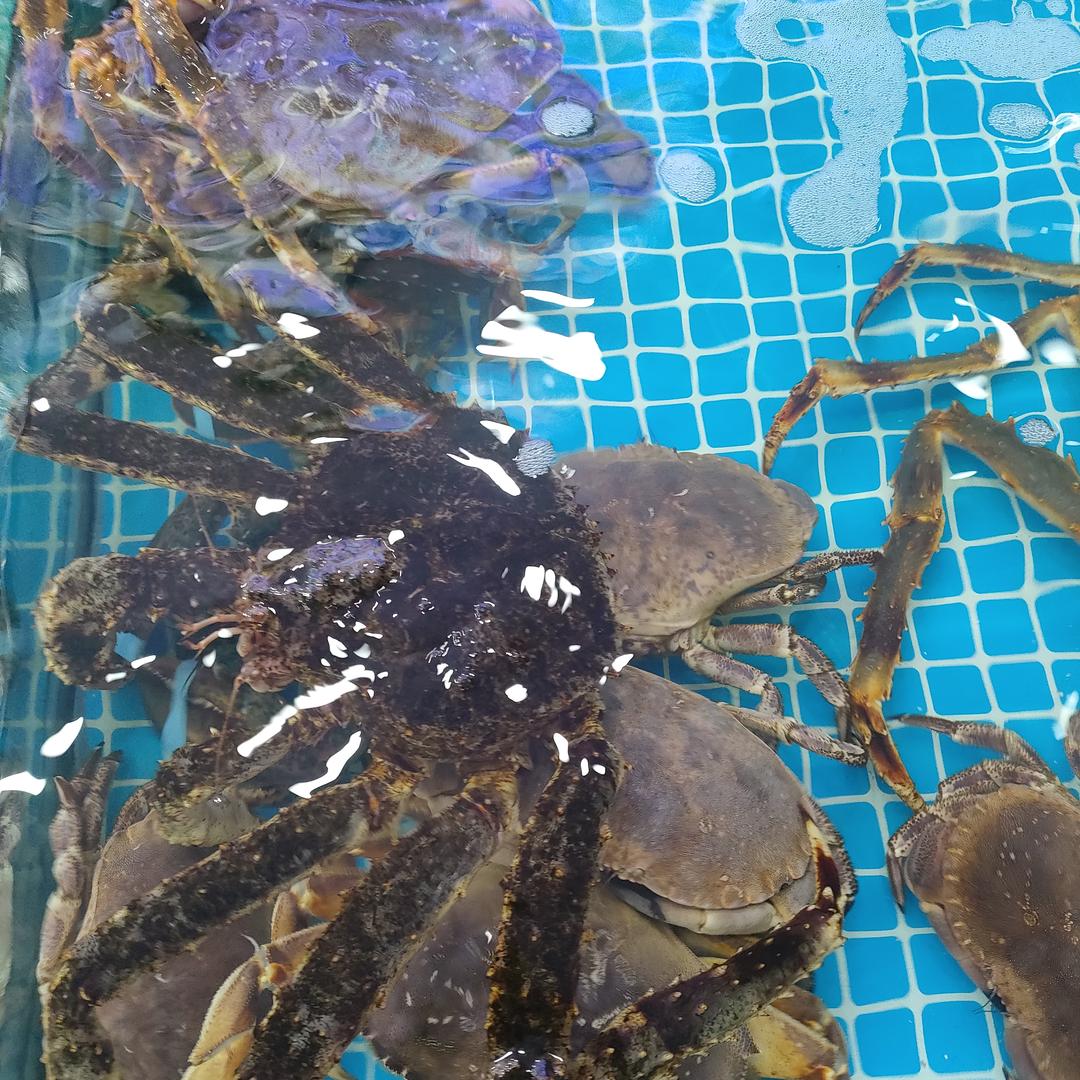 萃华海鲜阁大排档（云霄路）