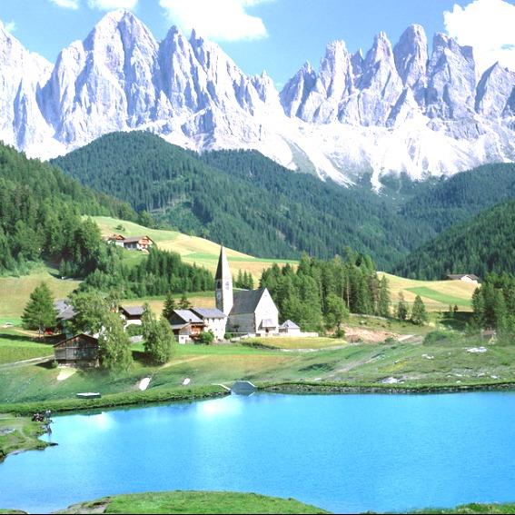 锤十个的直播号