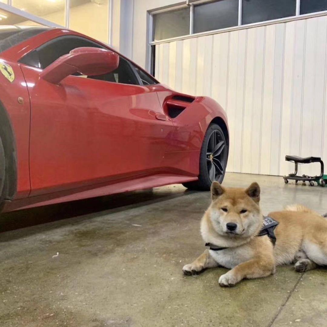 粤圈少爷