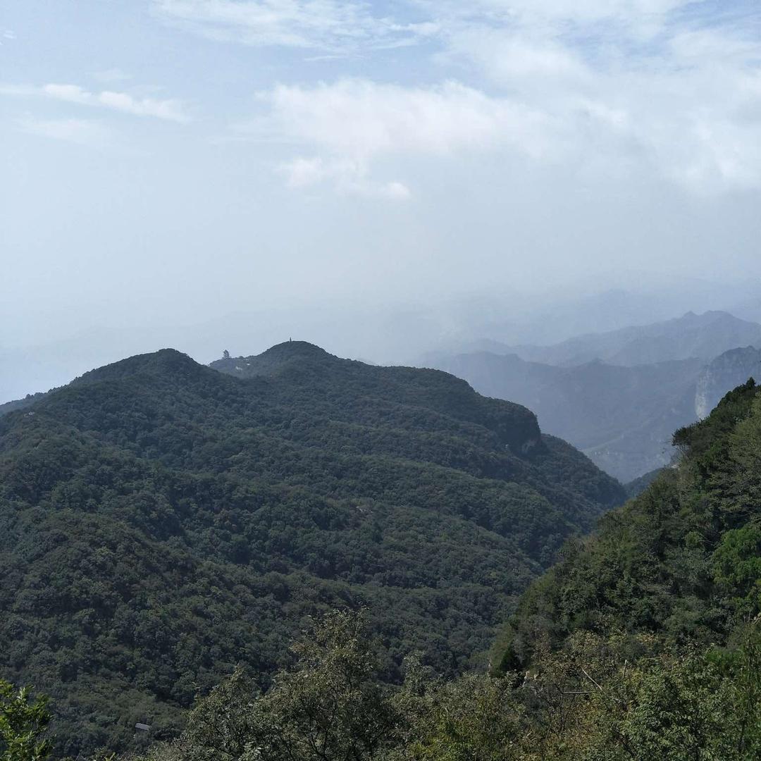 眉山市东坡区广场健身操舞