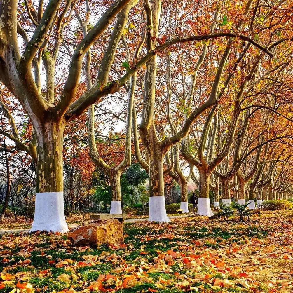 南京新街口地铁站悦家逸居民宿