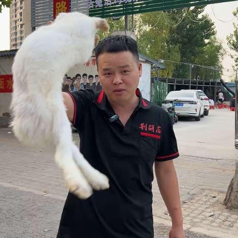 鸿宝路尉氏麻辣兔老店荆胡店宠粉号
