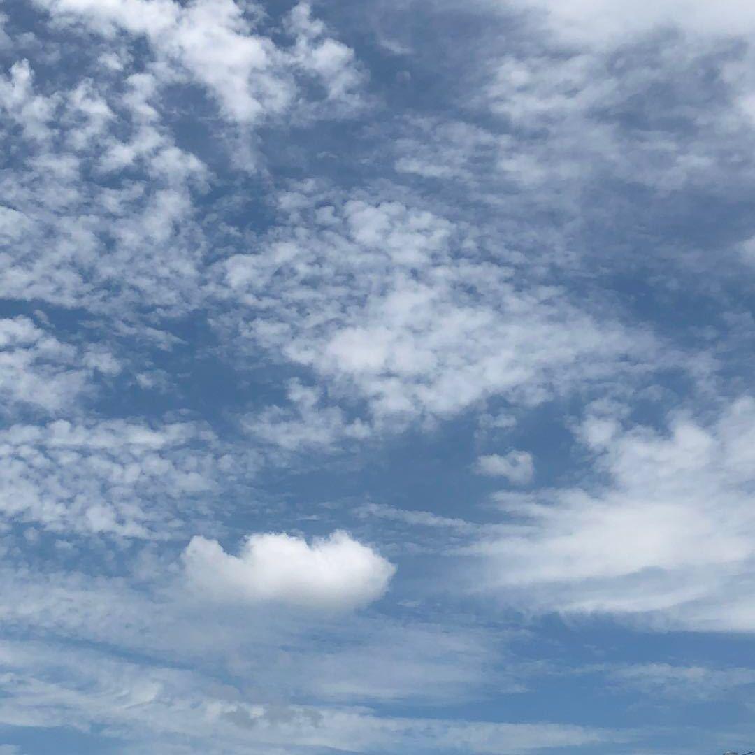 冠帅·平遥牛肉生活馆(教授花苑店)专用号