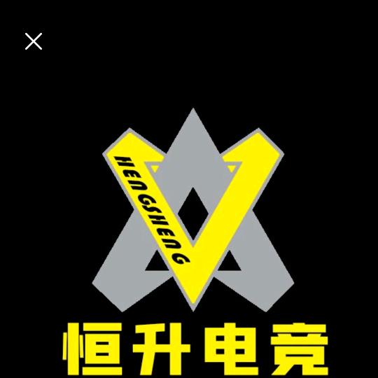 恒升电竞