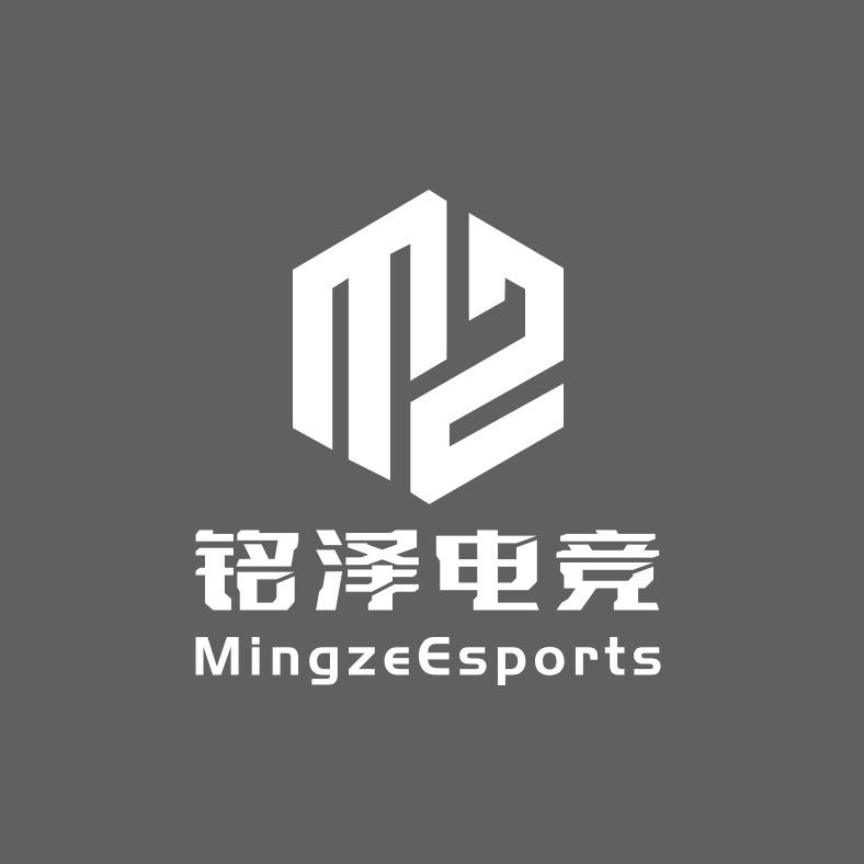 铭泽电竞