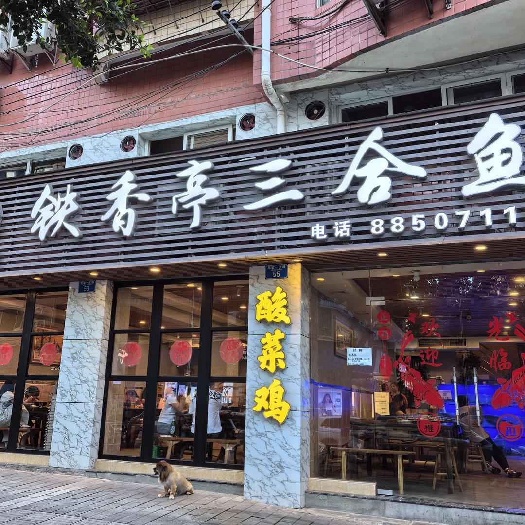 铁香亭三合鱼·酸菜鸡