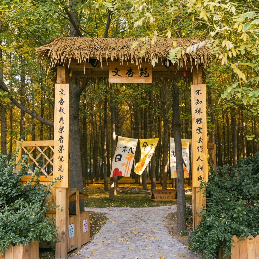 文杏苑