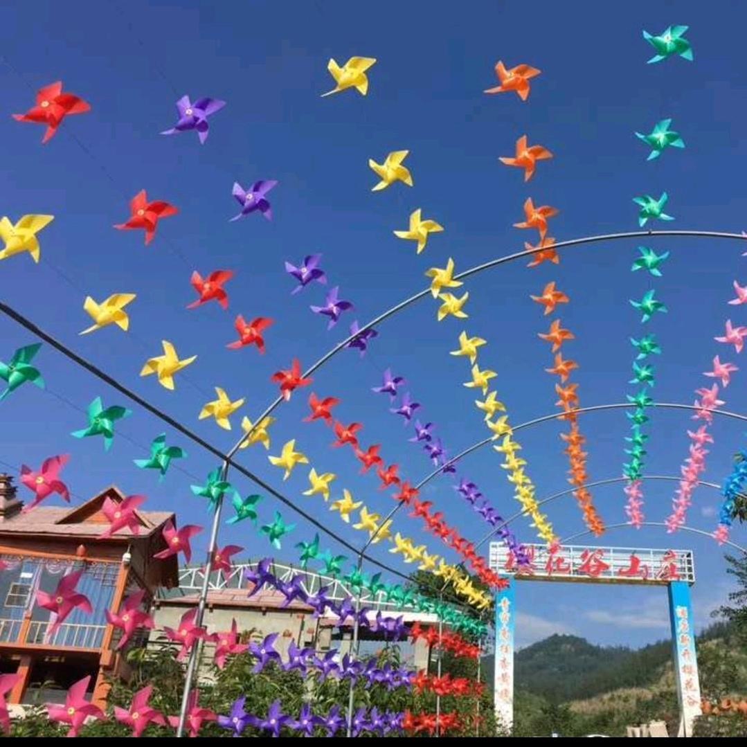 樱花谷山庄花姐