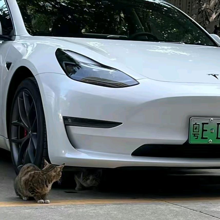 义乌新能源专修特斯拉维修
