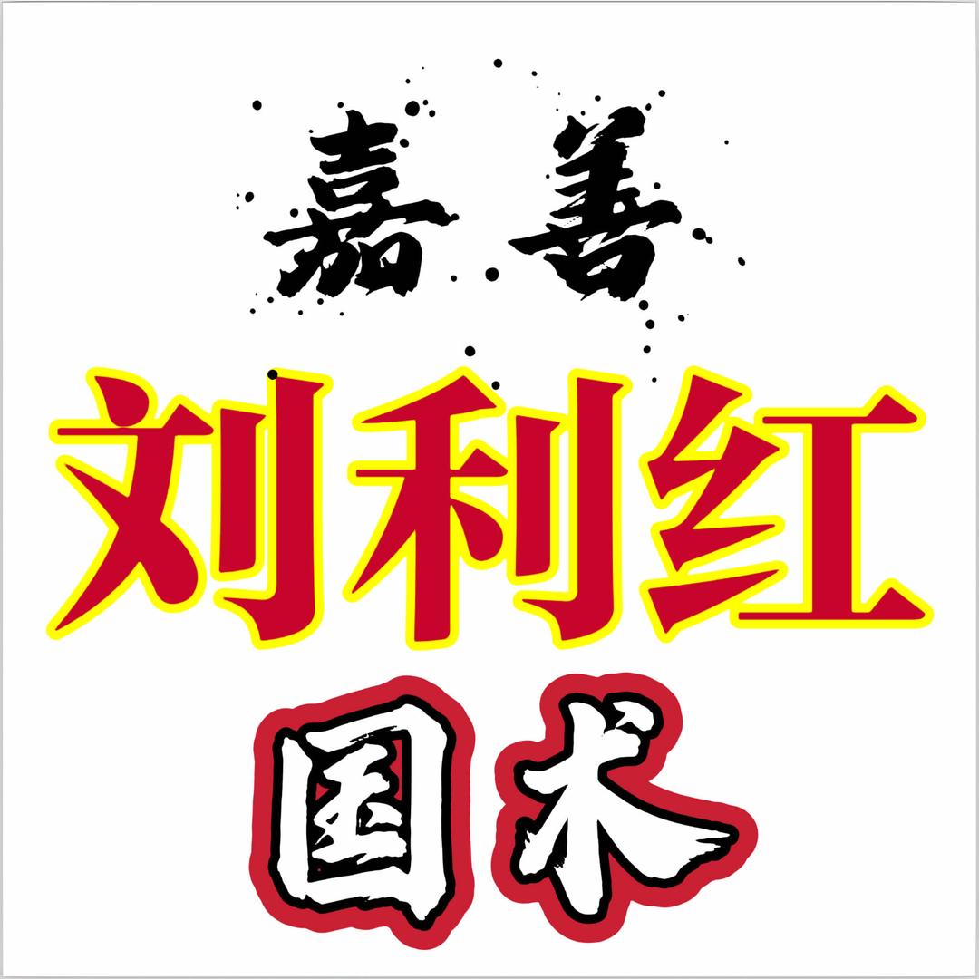 刘利红在嘉善·教学21年（中国武术教练）