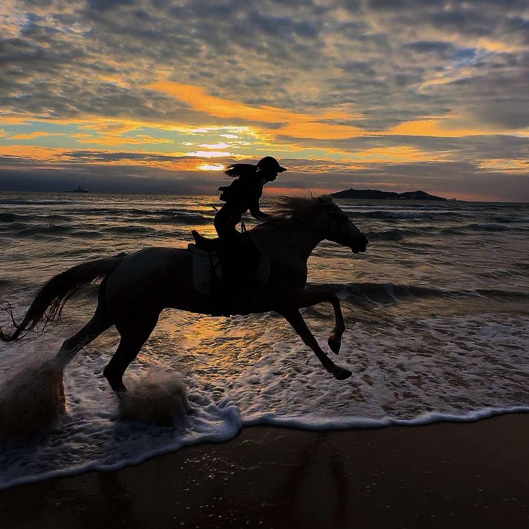 馨怡🐎