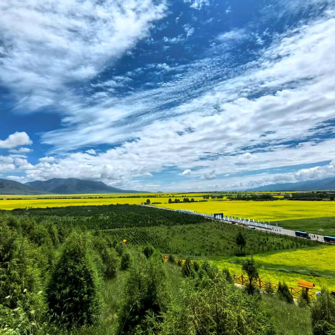 曲扣巧宠粉号喽