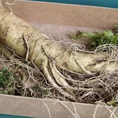 钒玥生活直播号