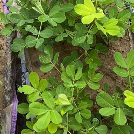 珺恒美美百货号