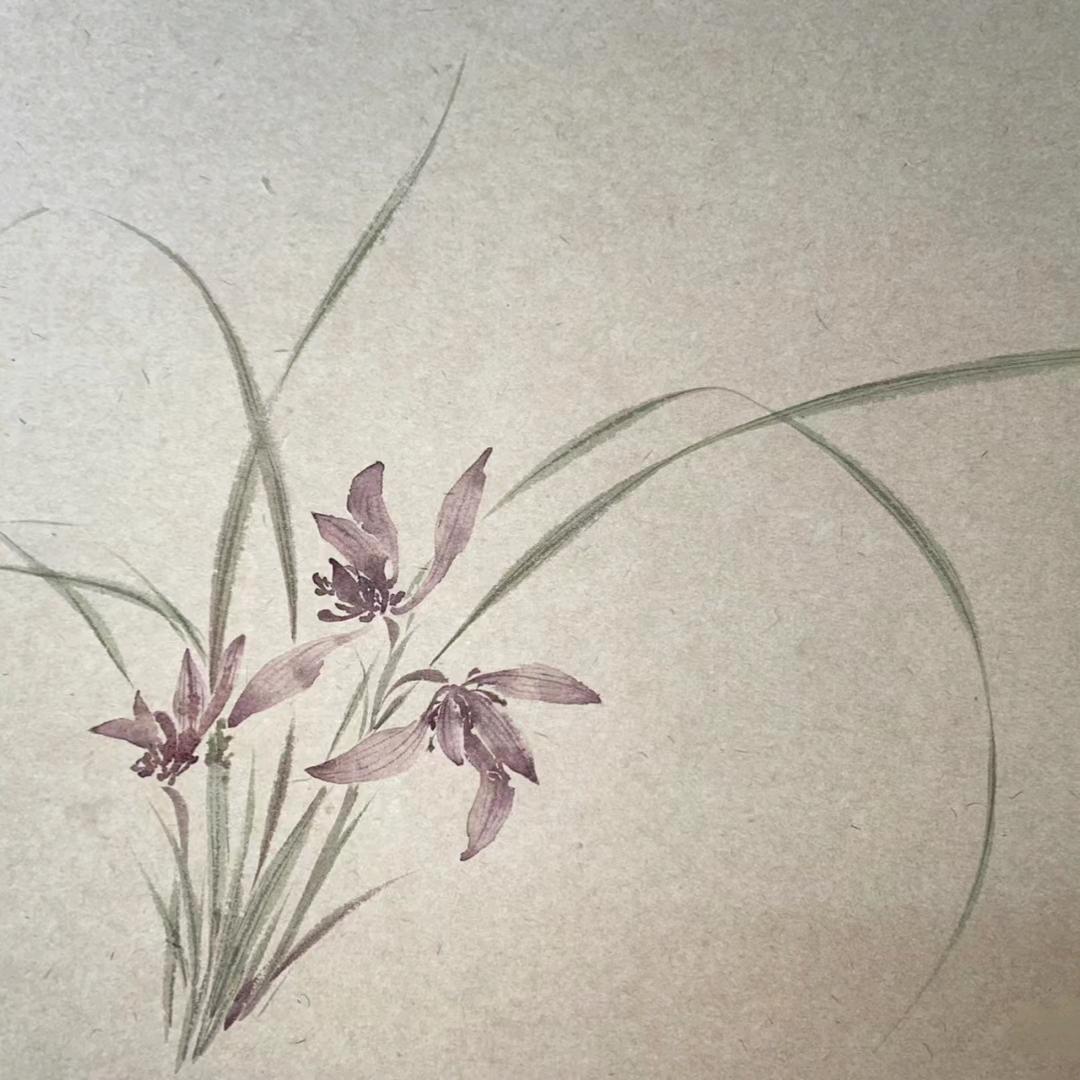 后花园  鲜花绿植