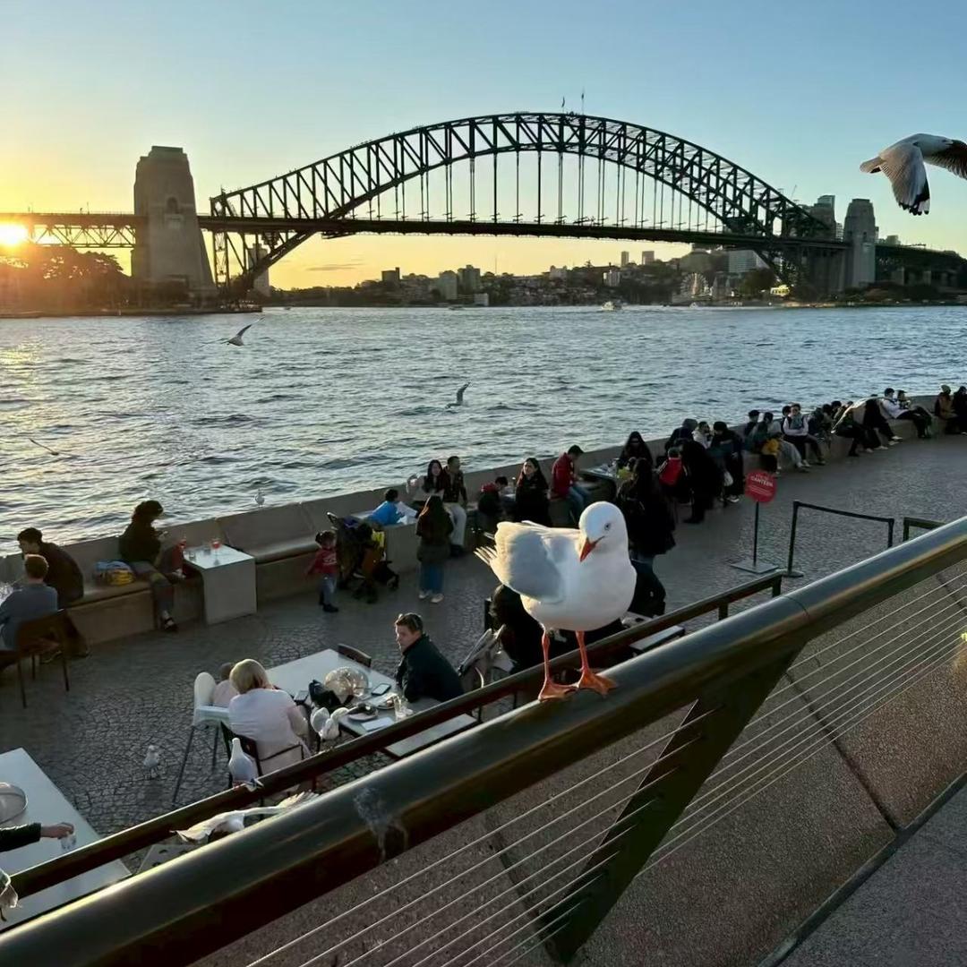 老高讲签证-婉嘉勋