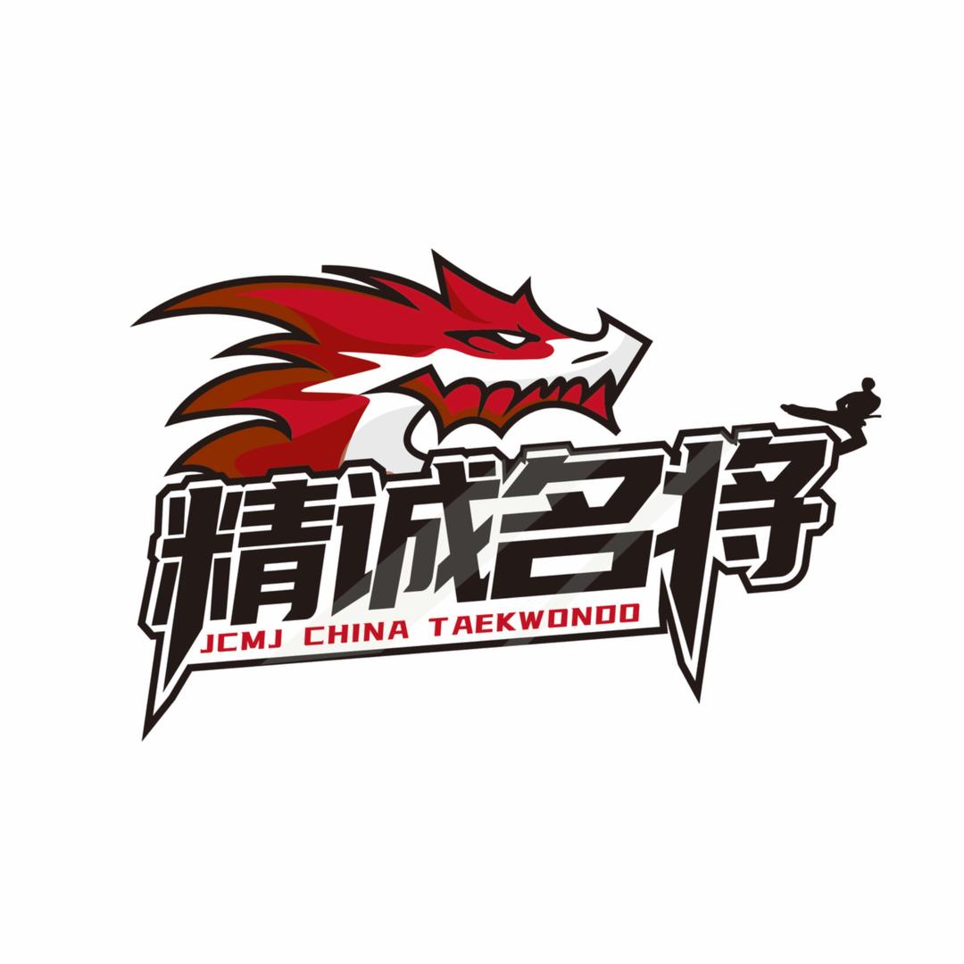 石家庄经开区盛世宏达跆拳道