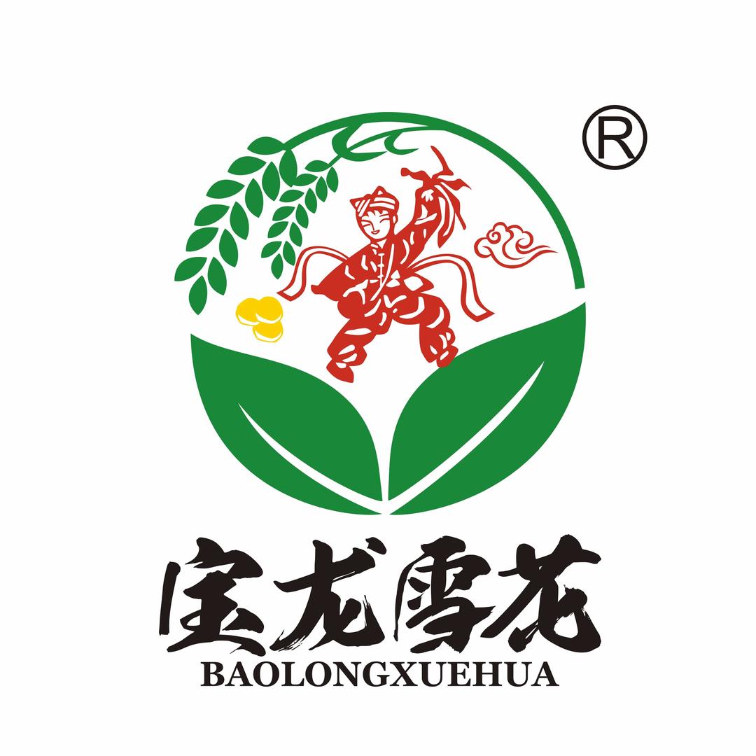 宝龙雪花·陕北特产
