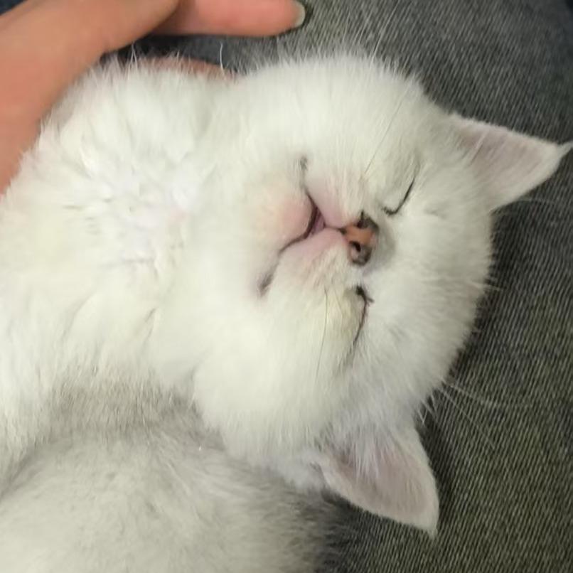 小周平秋劳务直播号